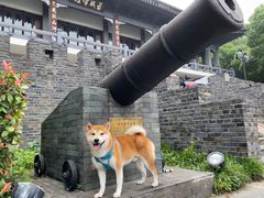 -小湾茶楼