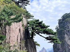 -黄山风景区