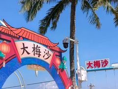 -大梅沙海滨公园