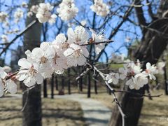 -元大都城垣遗址公园