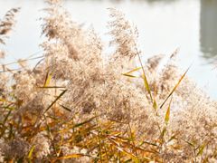 -咸阳湖景区