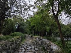 -阳台山自然风景区