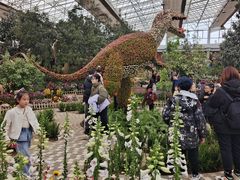 -沈阳植物园