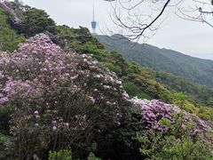 -梧桐山风景名胜区