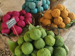 -大象粑粑造纸公园