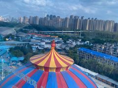 -海合安武汉极地海洋公园