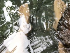 -三亚珠江南田温泉度假区