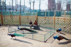 -萌宠亲子动物乐园(槐房万达店)