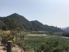 -塔川景区