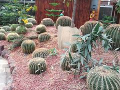 -呀路古热带植物园