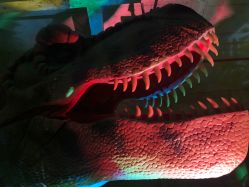 -恐龙探索乐园(磁器口店)