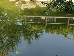 -三里河公园