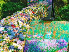 -上海共青森林公园