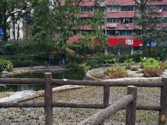 -成都市活水公园