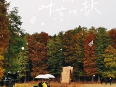 -四明山国家森林公园