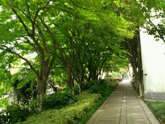 -上海市保健医疗中心(华东疗养院)