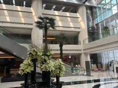 -广州白云机场雅高铂尔曼大酒店