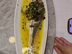 -老绍兴养和饭店(向阳不夜城店)