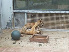 -西霞口神雕山野生动物世界