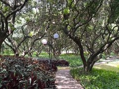 -荔香公园
