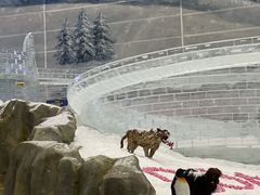 -广州热雪奇迹
