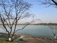 -羊山湖公园