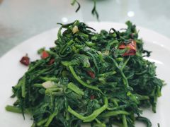 红宝枸杞苗-小叶手抓·清真食品(治平路店)