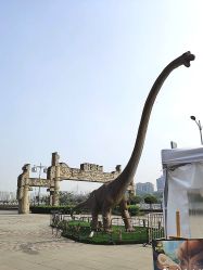 点击看大图 -恐龙探索乐园(磁器口店)