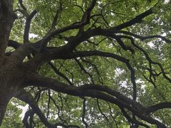 -浙江省博物馆(孤山馆区)