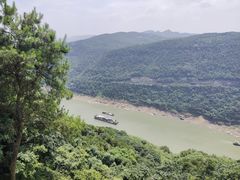 -铁山坪森林公园