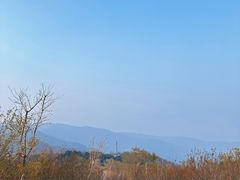 -北京西山国家森林公园