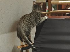 -初甜·舒芙蕾·韩式雪花冰(流塘店)