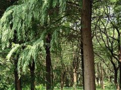 -同里国家湿地公园