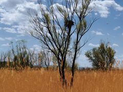 -野鸭湖国家湿地公园