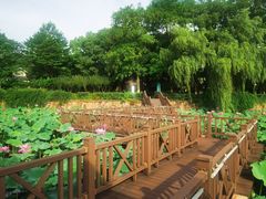 -上海市保健医疗中心