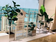 -叶子与茶(苏宁广场店)
