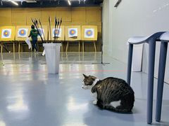 -蓝天射箭馆·专业射箭运动(诚丰广场店)