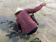 -北海金海湾红树林生态旅游区