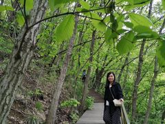 -青峰峡国家森林公园