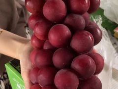 -马陆小张葡萄园农家乐