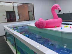 -优加国际游泳中心(开发区万达店)