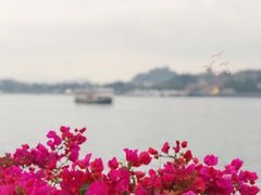 -厦门轮渡码头