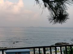 -青岛海景花园大酒店·白果树餐厅青岛菜