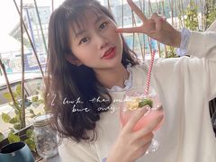 -柴犬高等学院·狗咖·柴犬售卖·宠物训练