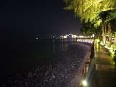 -万绿园