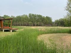 -东郊湿地公园