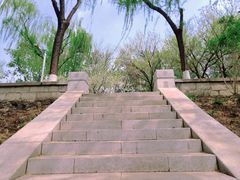 -南长河公园
