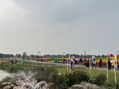 -荷兰花海