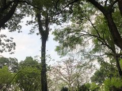 -乌山风景区