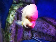 -泉州海丝野生动物世界